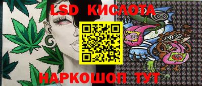 бутират Кингисепп