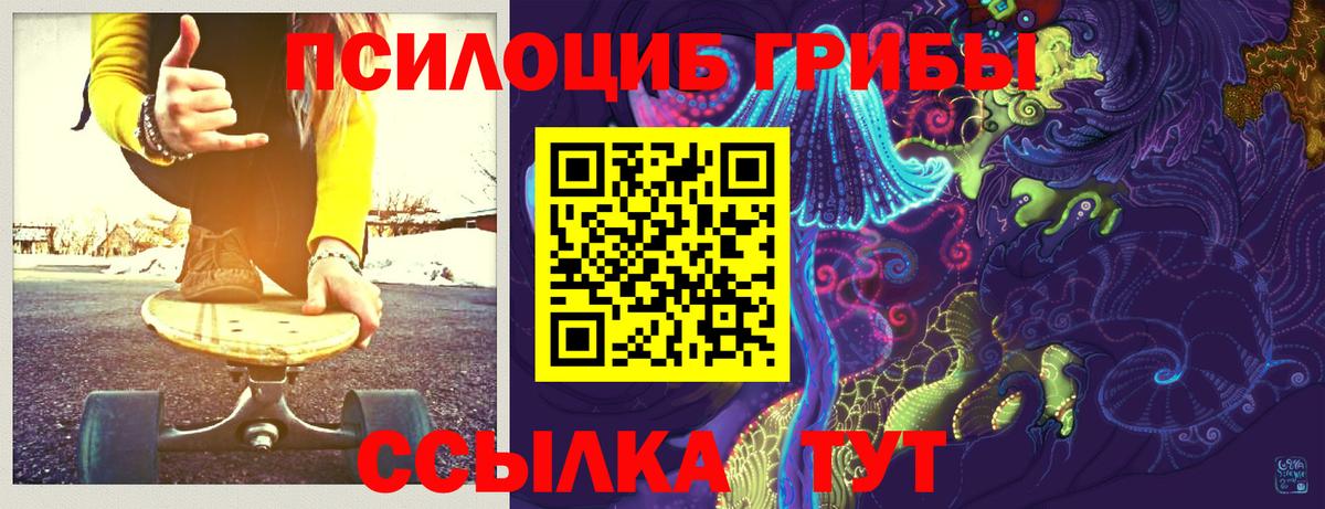 Псилоцибиновые грибы MAGIC MUSHROOMS Бутурлиновка